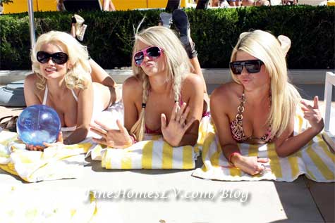 Holly Madison and Friends