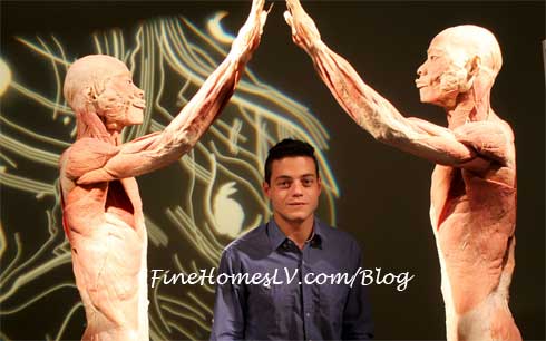 Rami Malek at BODIES The Exhibition