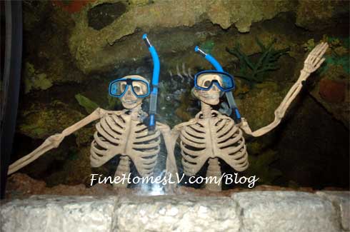 Haunted Reef Skeletons