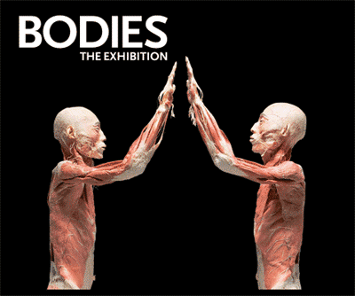 BODIES The Exhibit