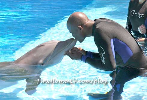 Wayne Brady and Dolphin