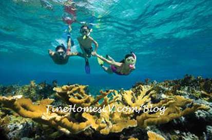 Kids Snorkeling