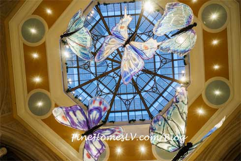 Butterflies In The Palazzo